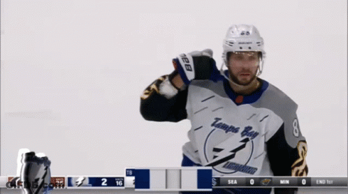 Hockey Player In Tampa Bay Jersey GIF