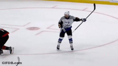 Hockey Player In Tampa Bay Jersey GIF