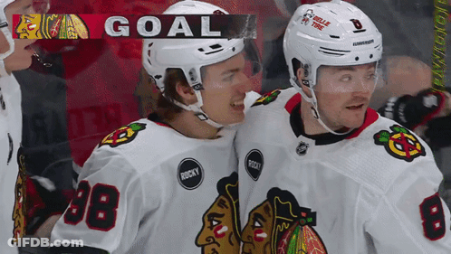 Hockey Player In White Jersey Number 28 GIF