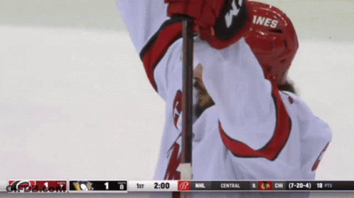 Hockey Player Ines GIF