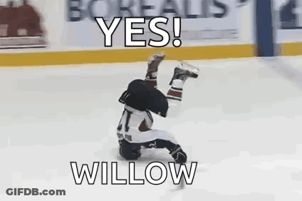 Hockey Player Laying On Ice Saying Yes Willow GIF