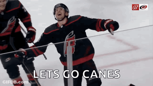 Hockey Player Lets Go Canes GIF