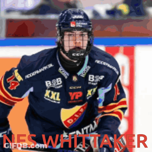 Hockey Player Nes Whittaker In Blue Jersey GIF