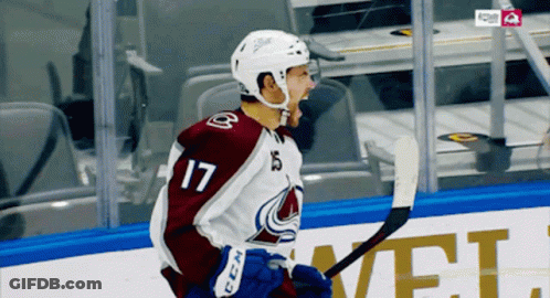 Hockey Player Number 17 On Ice GIF