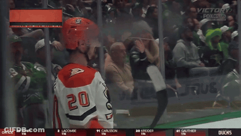 Hockey Player Number 20 Celebrates Goal GIF