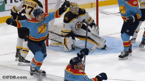 Hockey Player Number 27 Celebrating GIF