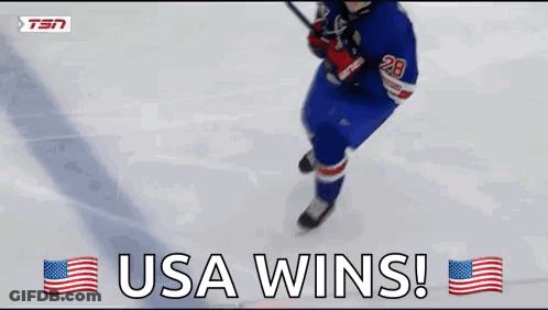 Hockey Player Number 28 Celebrating Win GIF