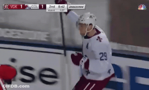Hockey Player Number 29 Celebrates GIF