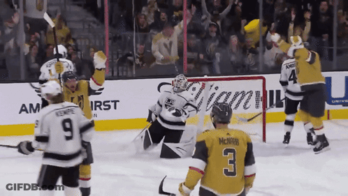 Hockey Player Number 3 Celebrating GIF