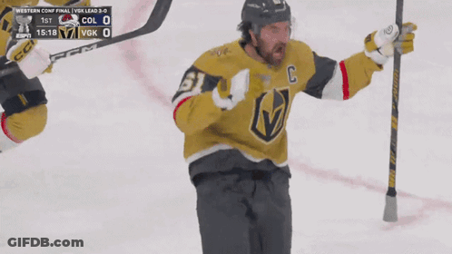 Hockey Player Number 3 Celebrating With Teammate GIF