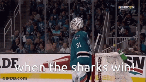 Hockey Player Number 31 Behind Net GIF