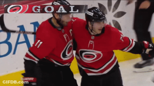 Hockey Player Number 33 In Stands GIF