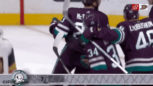 Hockey Player Number 34 GIF