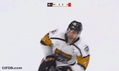 Hockey Player Number 41 Celebrating Goal GIF