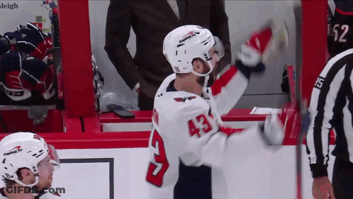 Hockey Player Number 43 GIF