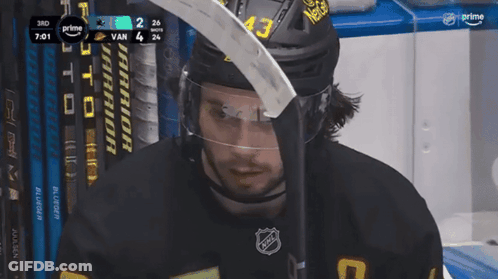 Hockey Player Number 43 Holding Stick GIF
