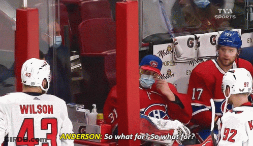 Hockey Player Number 43 Talking To Another Player GIF