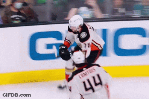 Hockey Player Number 44 Fighting GIF