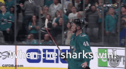 Hockey Player Number 48 Holding Stick GIF