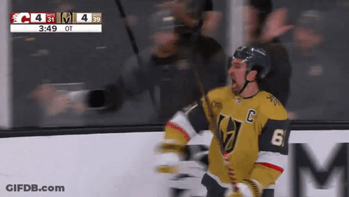 Hockey Player Number 6 Celebrating GIF
