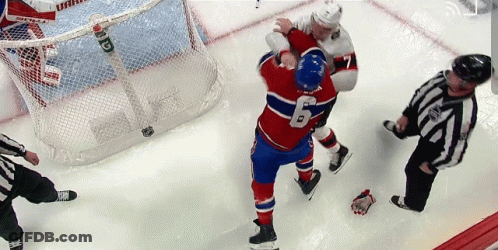 Hockey Player Number 6 Fighting On Ice GIF
