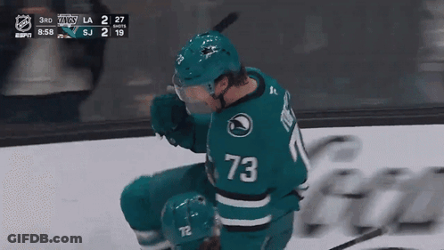 Hockey Player Number 73 GIF