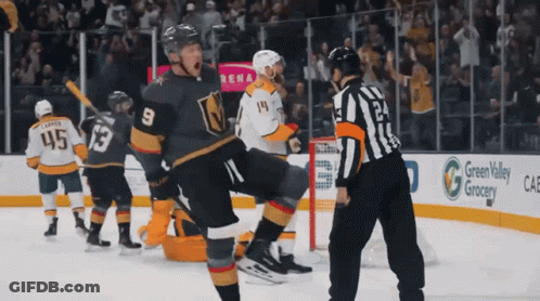 Hockey Player Number 9 GIF