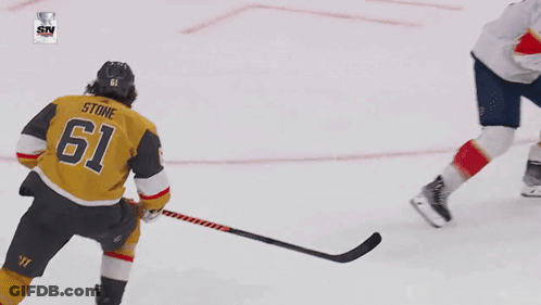 Hockey Player Number 9 GIF