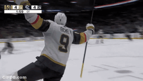 Hockey Player Number 9 Celebrating GIF