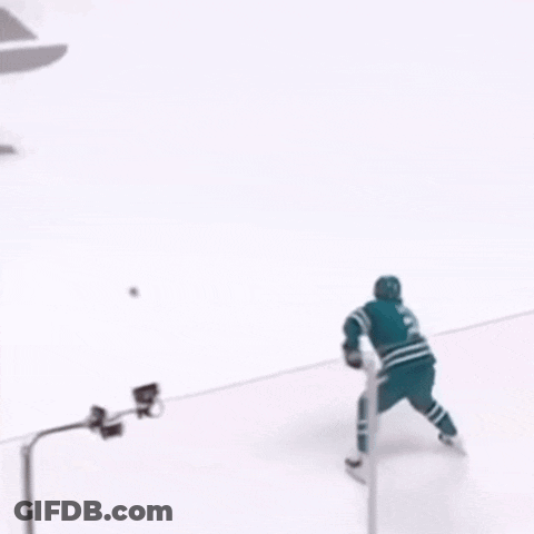 Hockey Player Number 9 GIF