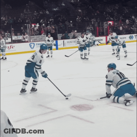Hockey Player On Ice With Bring Out Your Bee Banner GIF