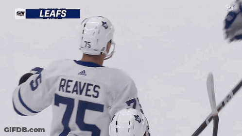 Hockey Player Reaves GIF