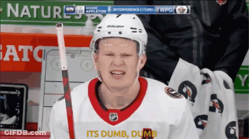 Hockey Player Says It's Dumb Dumb GIF