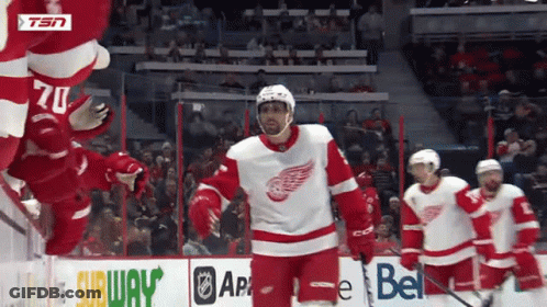 Hockey Player Says It's The Fucking National League Does That Shit In The Minors GIF