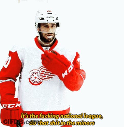 Hockey Player Says It's The Fucking National League GIF