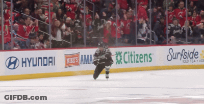 Hockey Player Skating In Front Of Hyundai Banner GIF