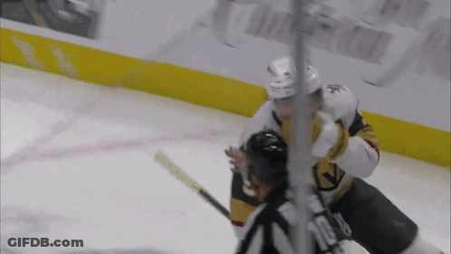 Hockey Player Tackled By Referee GIF