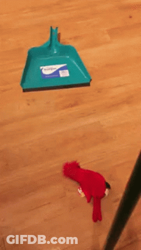 Hockey Player Wearing Bauer Helmet GIF