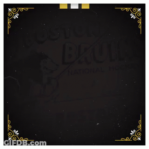 Hockey Player Wearing Bauer Helmet GIF