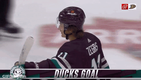 Hockey Player Wearing Ducks Goal Jersey GIF