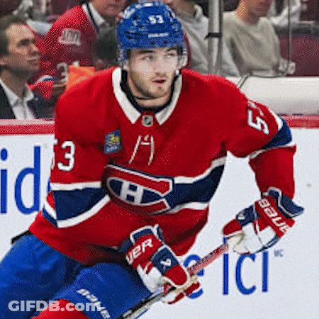 Hockey Player Wearing Number 3 Jersey GIF