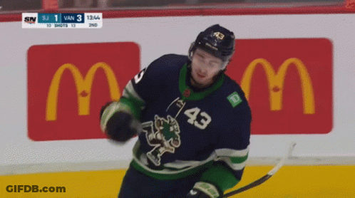 Hockey Player Wearing Number 43 Jersey GIF
