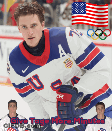 Hockey Player Wearing Us Jersey GIF