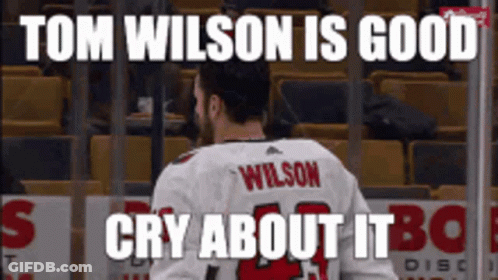 Hockey Player Wilson GIF