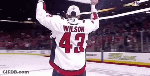 Hockey Player Wilson GIF