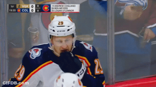 Hockey Player With 29 Jersey GIF