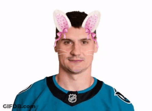 Hockey Player With Bunny Ears And Cat Mask GIF