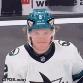 Hockey Player With Cat Ears Helmet GIF