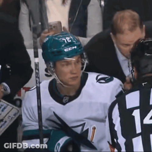 Hockey Player With CCM Helmet GIF