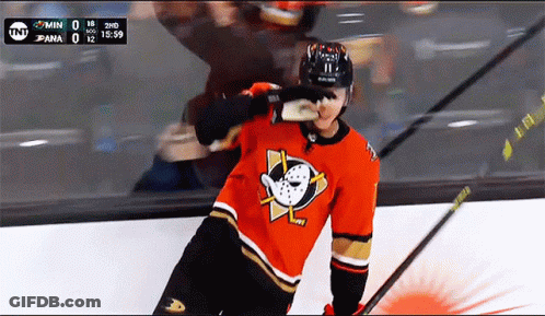Hockey Player With Duck Jersey GIF